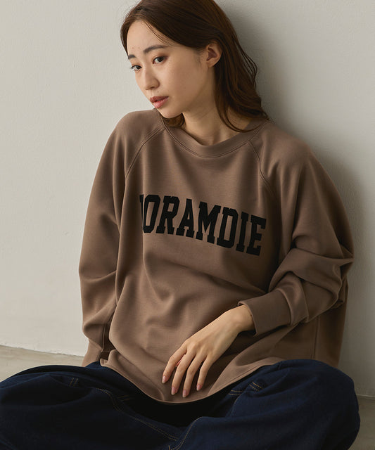 ソフトダンボールニットフロッキープリントドルマンプルオーバー[1325-6153]