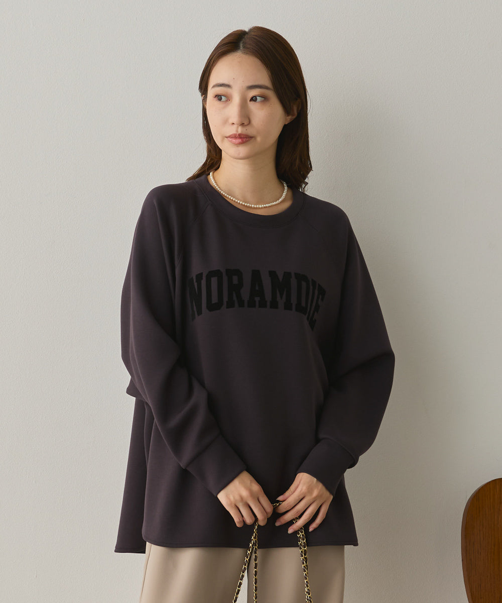 ソフトダンボールニットフロッキープリントドルマンプルオーバー[1325-6153]