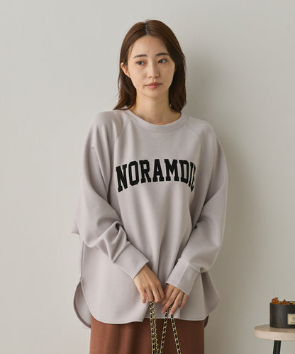 ソフトダンボールニットフロッキープリントドルマンプルオーバー[1325-6153]