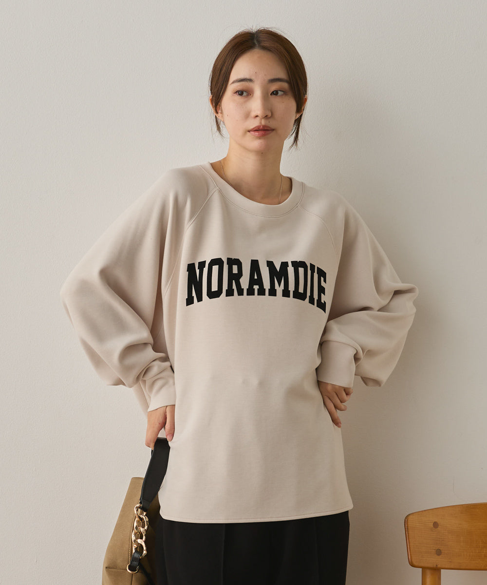 ソフトダンボールニットフロッキープリントドルマンプルオーバー[1325-6153]