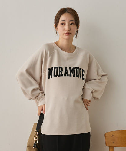 ソフトダンボールニットフロッキープリントドルマンプルオーバー[1325-6153]