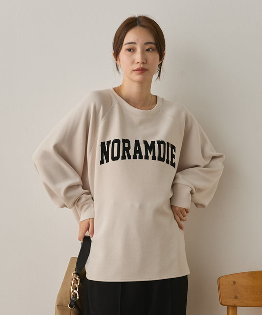 ソフトダンボールニットフロッキープリントドルマンプルオーバー[1325-6153]