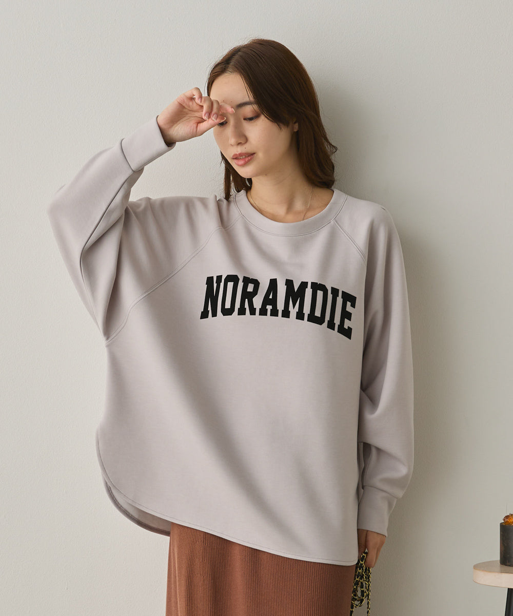 ソフトダンボールニットフロッキープリントドルマンプルオーバー[1325-6153]