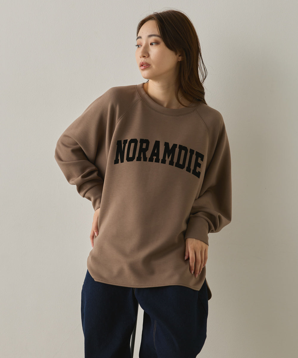 ソフトダンボールニットフロッキープリントドルマンプルオーバー[1325-6153]