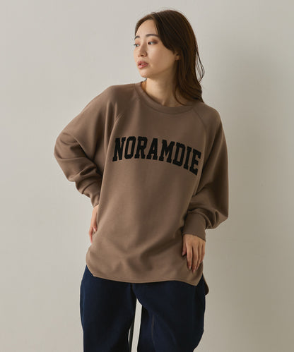 ソフトダンボールニットフロッキープリントドルマンプルオーバー[1325-6153]