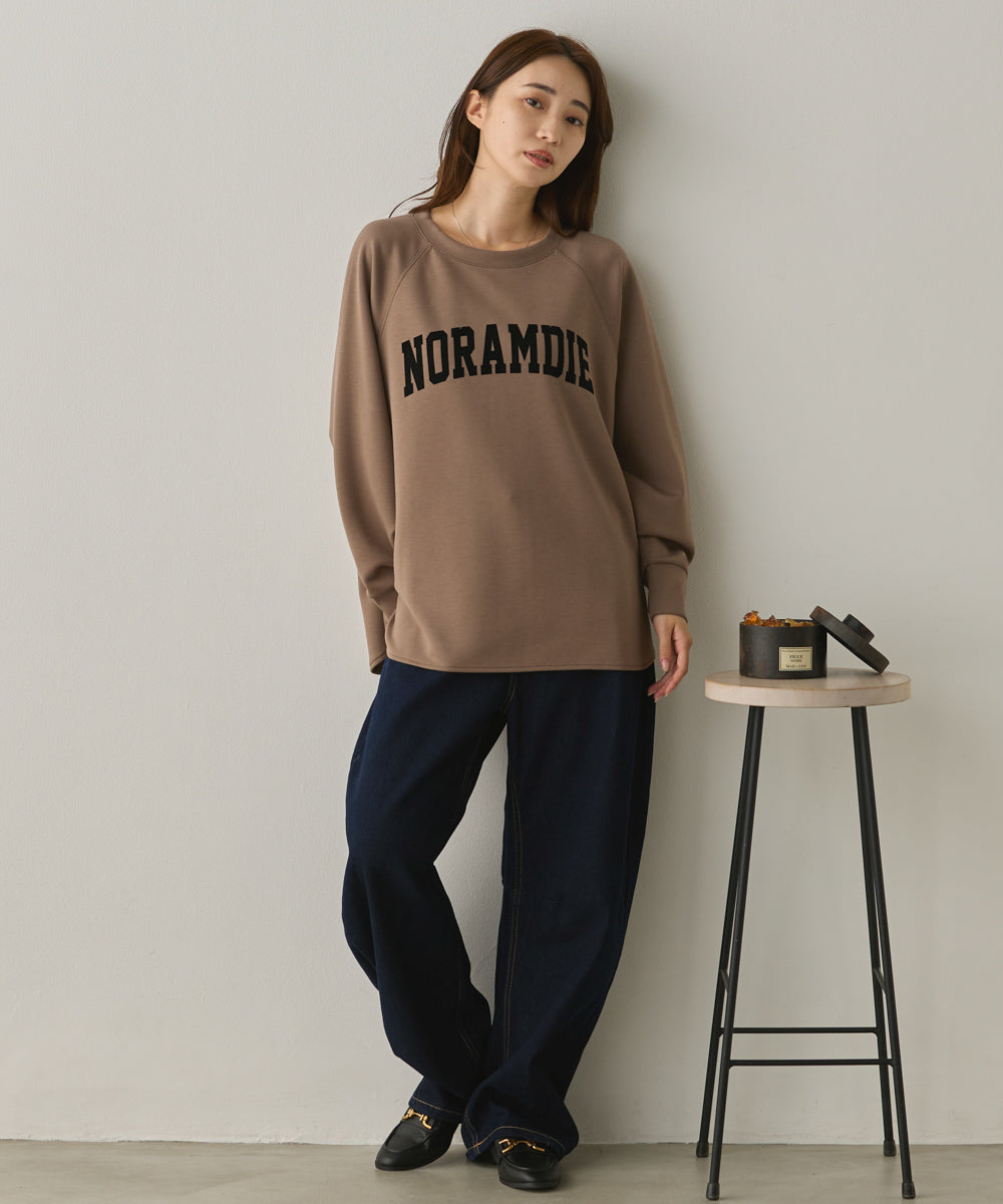 ソフトダンボールニットフロッキープリントドルマンプルオーバー[1325-6153]