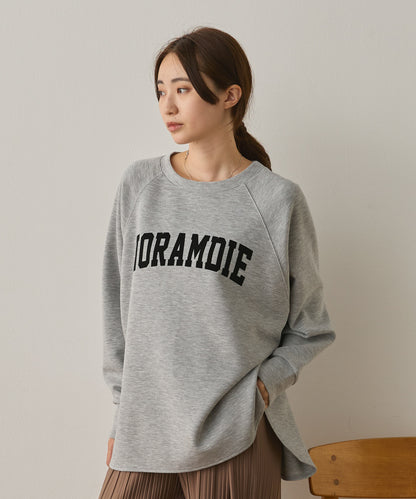 ソフトダンボールニットフロッキープリントドルマンプルオーバー[1325-6153]