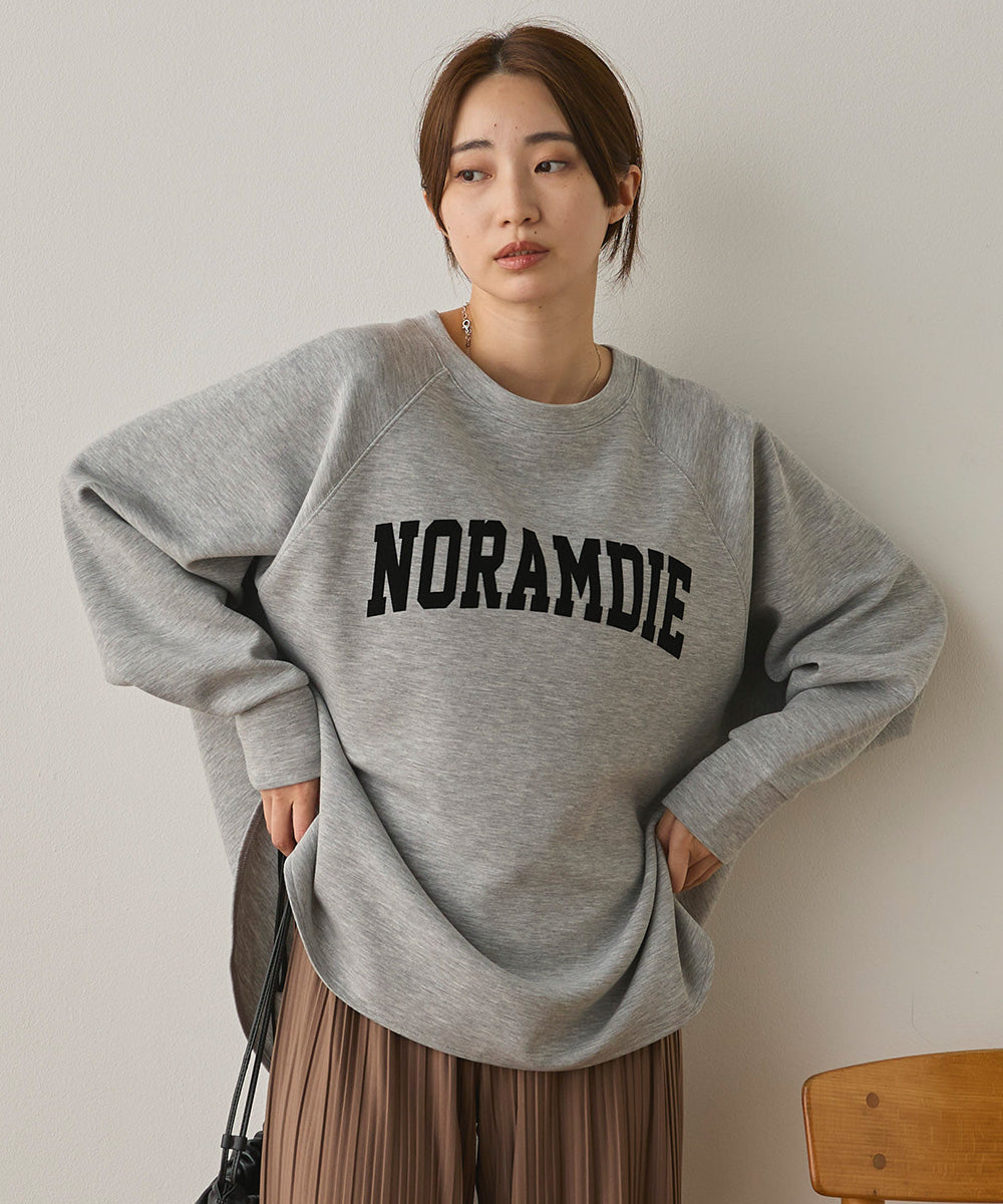 ソフトダンボールニットフロッキープリントドルマンプルオーバー[1325-6153]