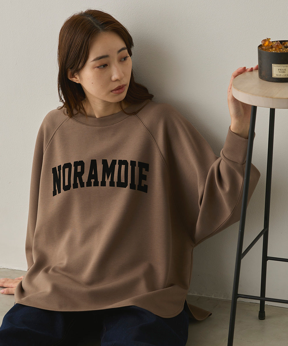 ソフトダンボールニットフロッキープリントドルマンプルオーバー[1325-6153]