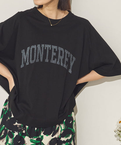 バイオポリウォッシュビッグラグランロゴTシャツ[21089-6126]