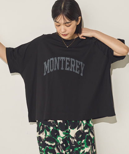 バイオポリウォッシュビッグラグランロゴTシャツ[21089-6126]